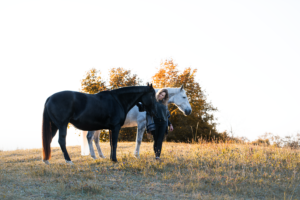 Tess-art Pferdefotografie zwei Pferde mit ihrer Besitzerin, weiss und schwarz, im Licht mit Morgentau